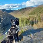 Chez Rose Sainte-Cécile