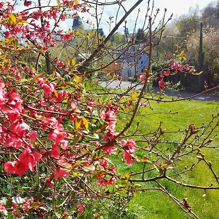 Chez Rose Vakantiehuis Sainte-Cécile