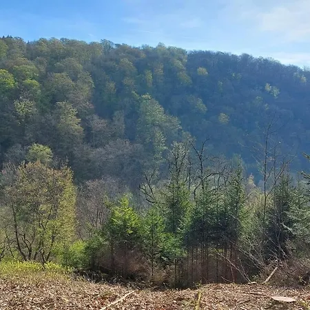 Holiday home Chez Rose *