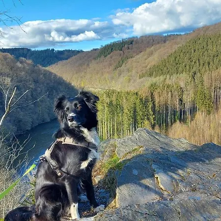 Chez Rose Sainte-Cecile