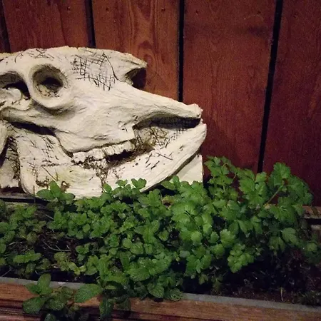 Chez Rose Vakantiehuis Sainte-Cécile