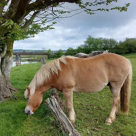 Chez Rose Vakantiehuis *