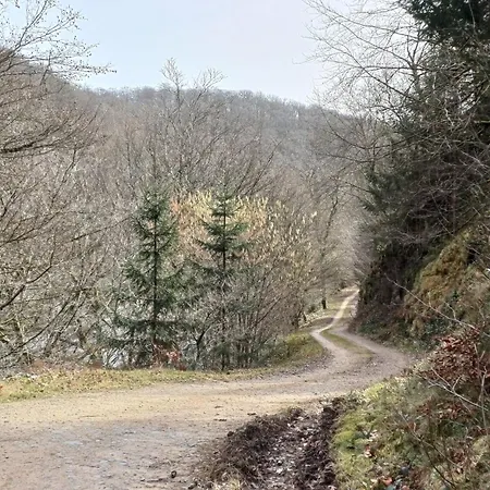 Chez Rose * Sainte-Cécile