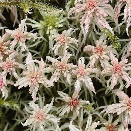 Vakantiehuis Chez Rose