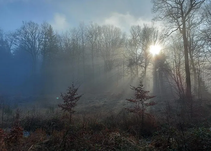 Chez Rosé * Sainte-Cécile