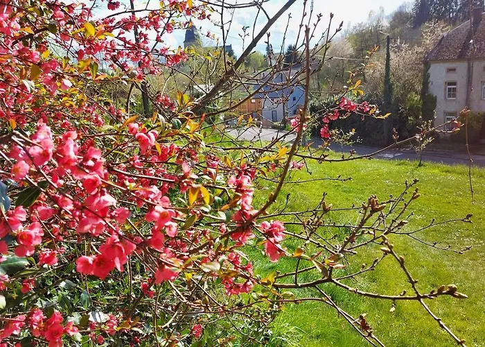 Chez Rosé Hébergement de vacances Sainte-Cécile