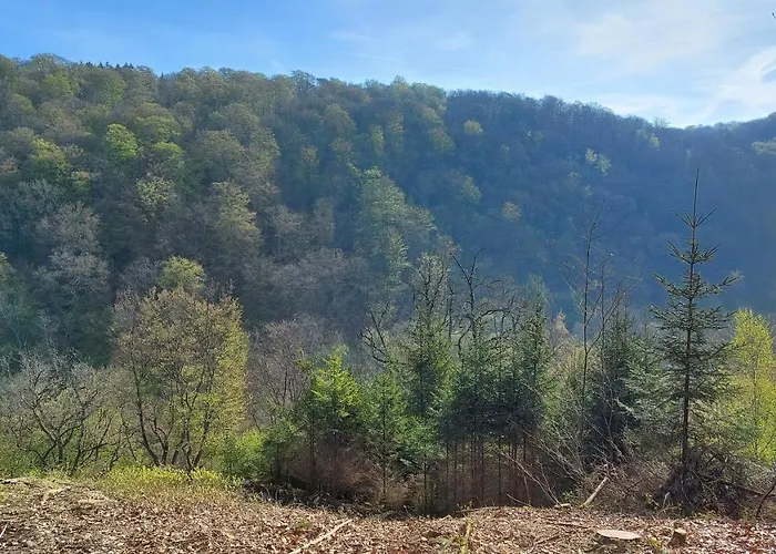 Hébergement de vacances Chez Rosé *