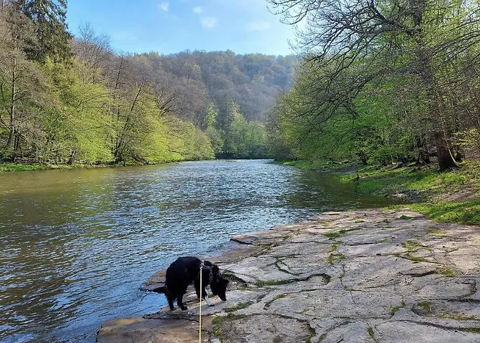Hébergement de vacances Chez Rosé Sainte-Cécile