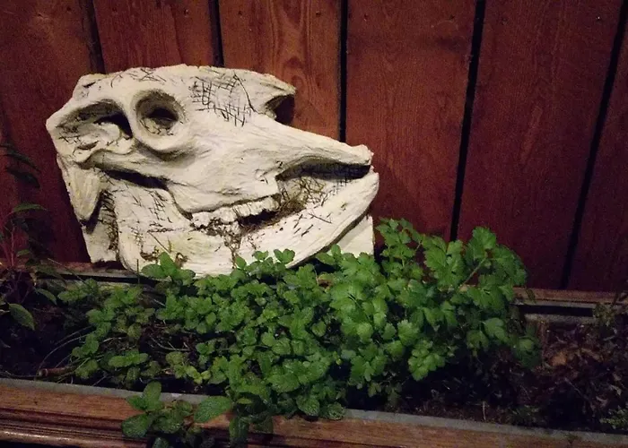 Chez Rosé Hébergement de vacances Sainte-Cécile