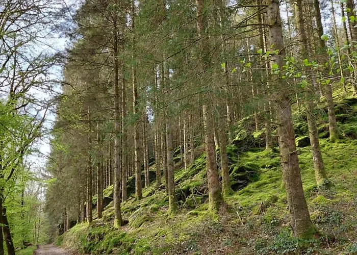 Chez Rosé Hébergement de vacances *