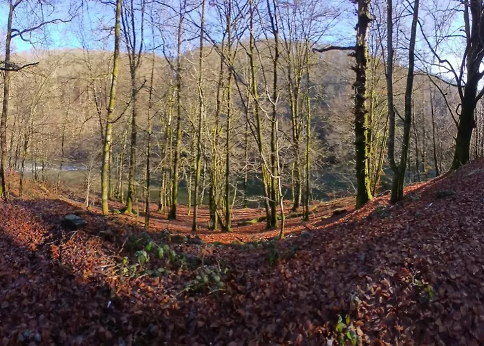 Chez Rosé Hébergement de vacances *