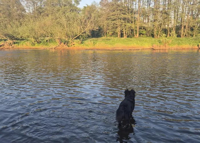 Chez Rosé Hébergement de vacances