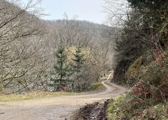 Chez Rosé * Sainte-Cécile