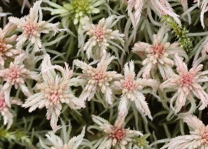 Hébergement de vacances Chez Rosé