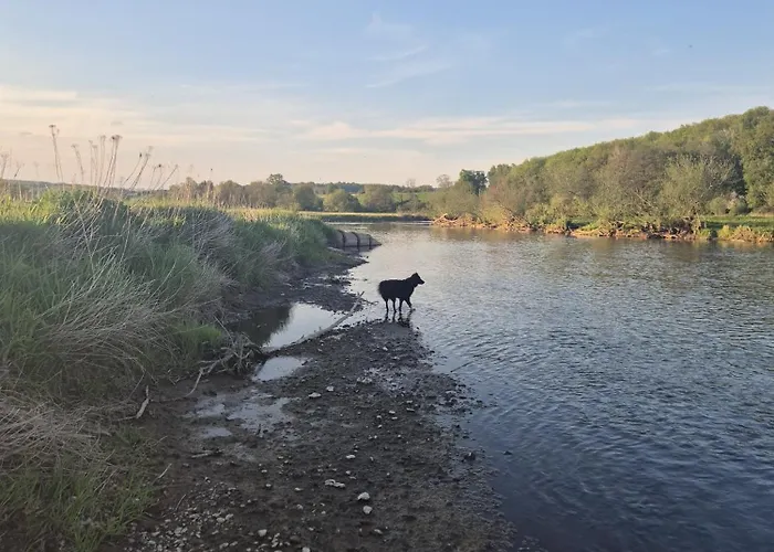 Chez Rosé Hébergement de vacances *